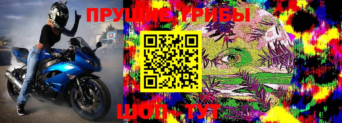 Галлюциногенные грибы Psilocybine cubensis  Псилоцибиновые грибы GOLDEN TEACHER  Вход с VPN  Чистополь 