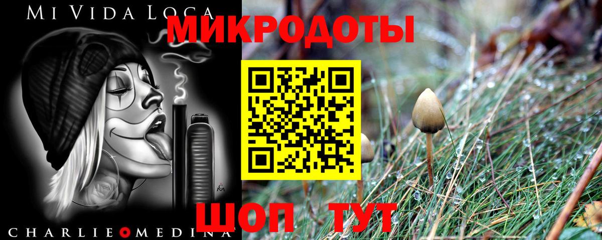 Псилоцибиновые грибы Psilocybe Чистополь